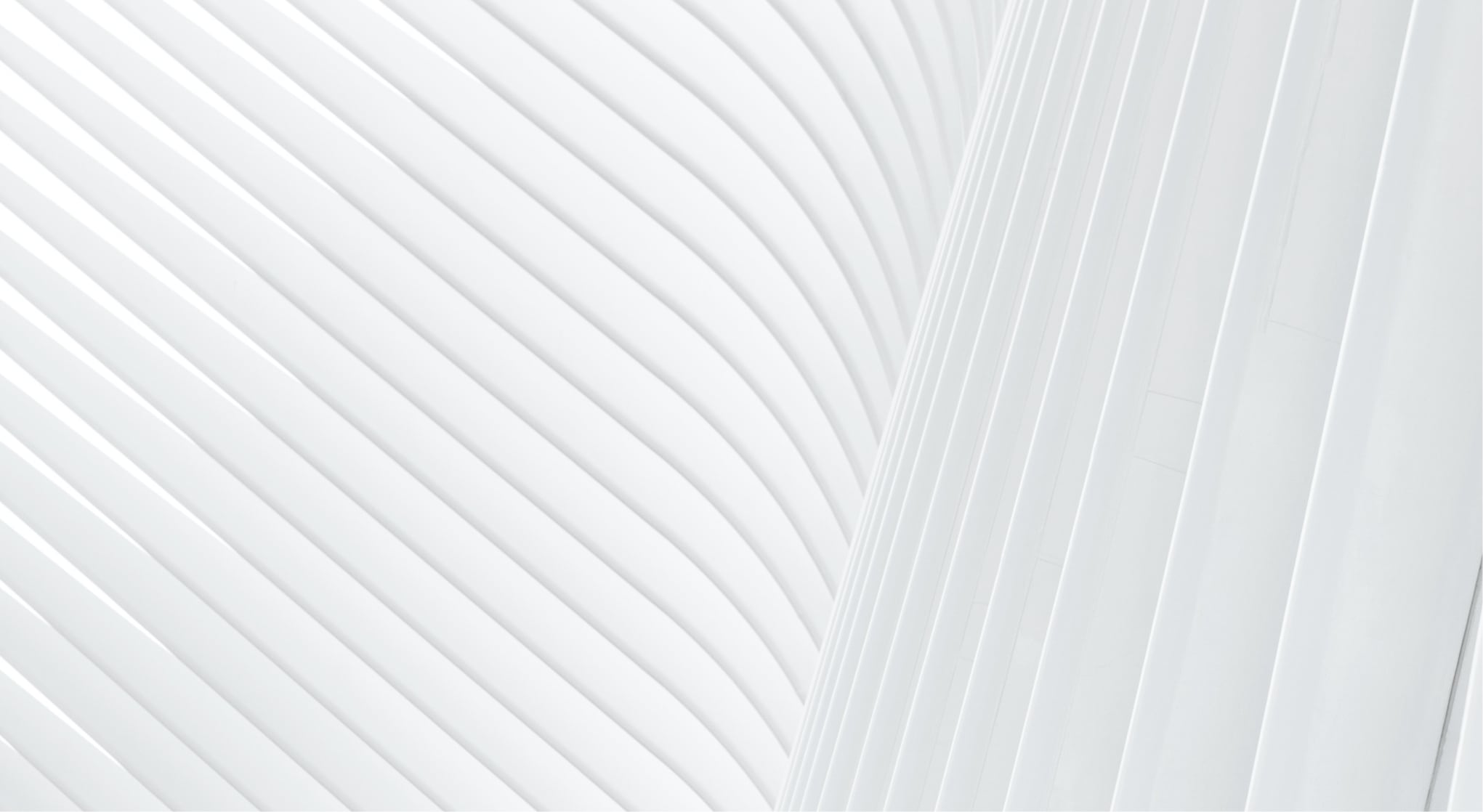 A white background with a wavy pattern.